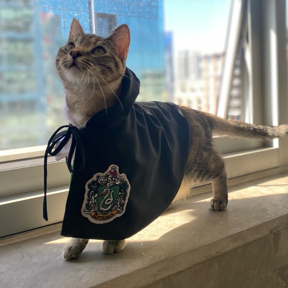 Meet your Posher, Eilish - Picture 1 of 1